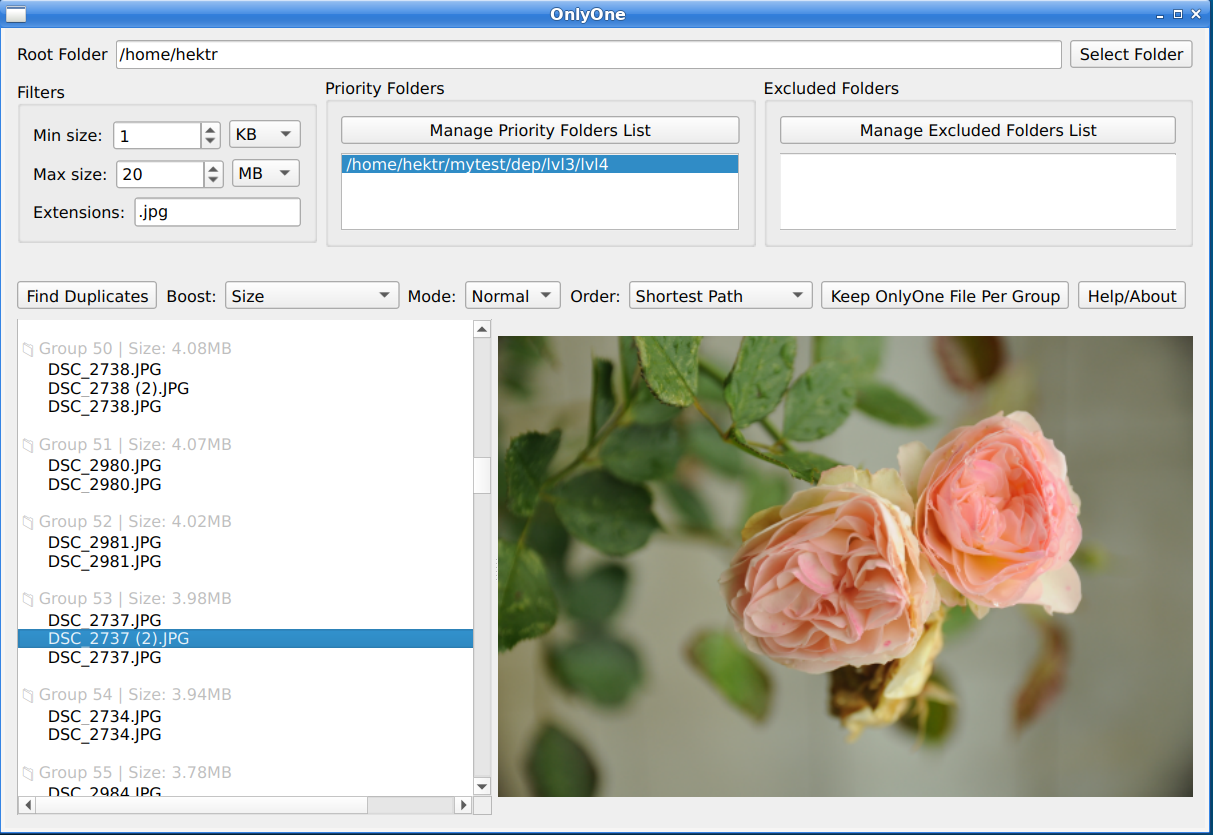 Main window with scan results